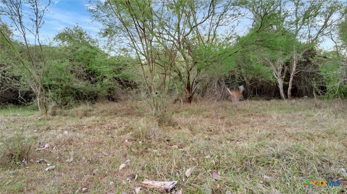 157.17 acres in Victoria County - photo 28