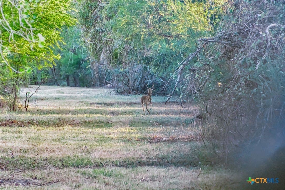 157.17 acres in Victoria County - photo 31