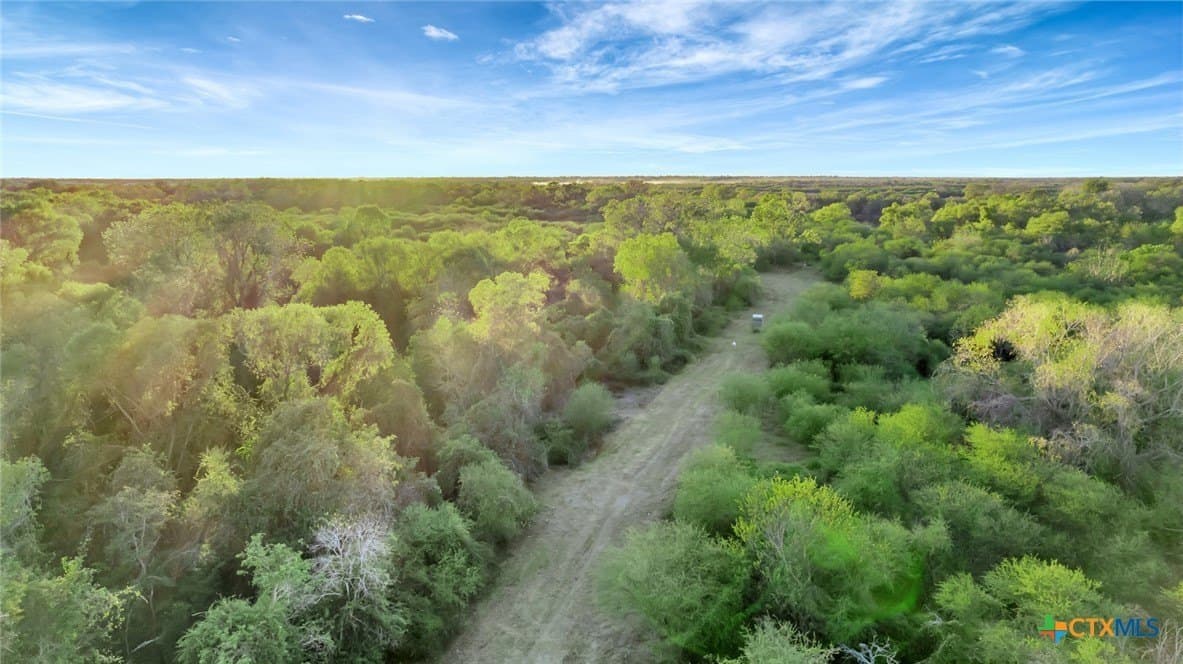 157.17 acres in Victoria County - photo 22