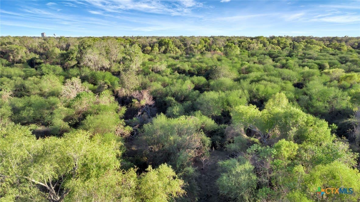 157.17 acres in Victoria County - photo 11