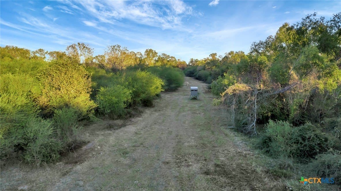 157.17 acres in Victoria County - photo 21