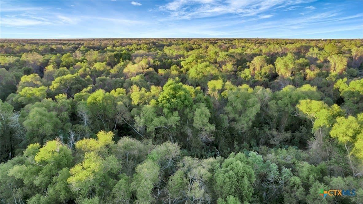 157.17 acres in Victoria County - photo 24