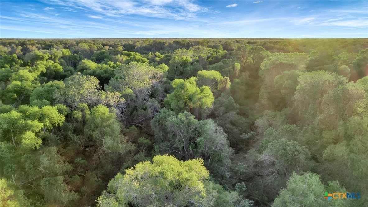157.17 acres in Victoria County - photo 25