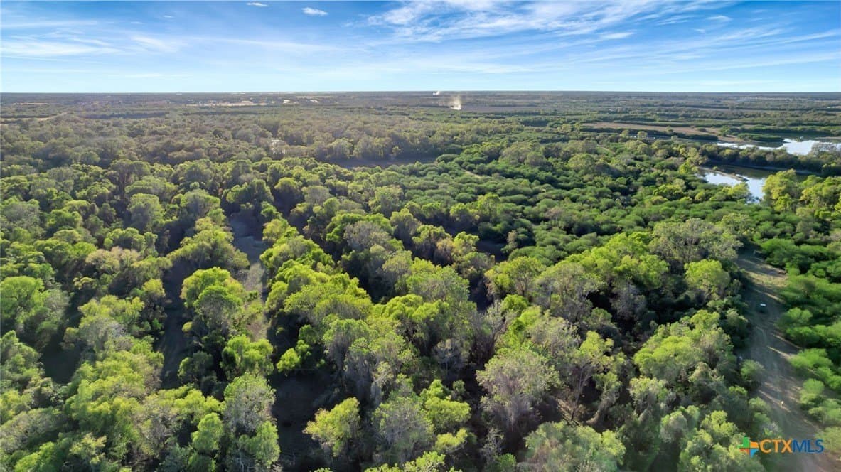 157.17 acres in Victoria County - photo 16