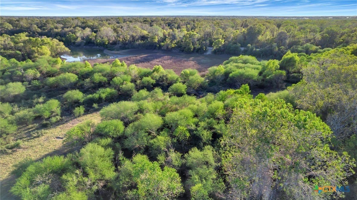 157.17 acres in Victoria County - photo 12