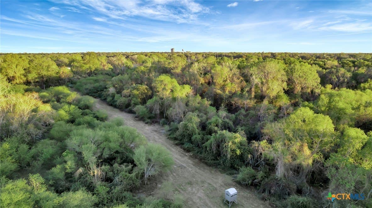 157.17 acres in Victoria County - photo 23