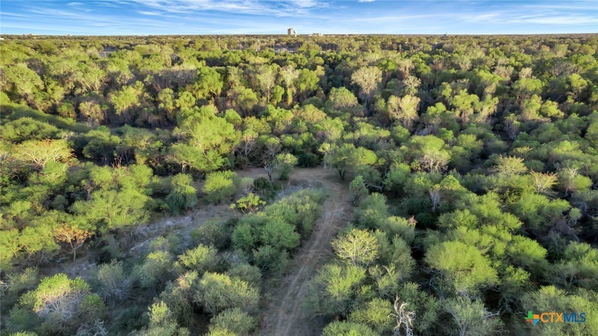157.17 acres in Victoria County - photo 20