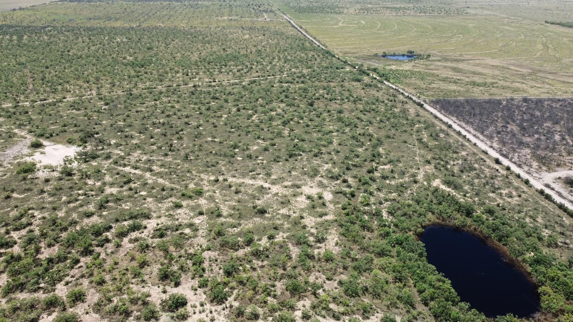 500 acres in Concho County - photo 9