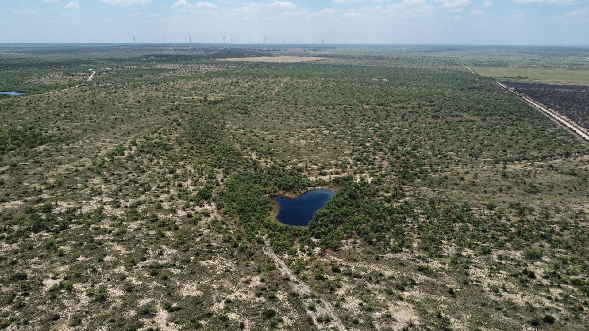 500 acres in Concho County - photo 5