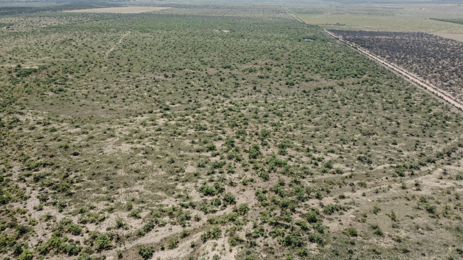 500 acres in Concho County - photo 7