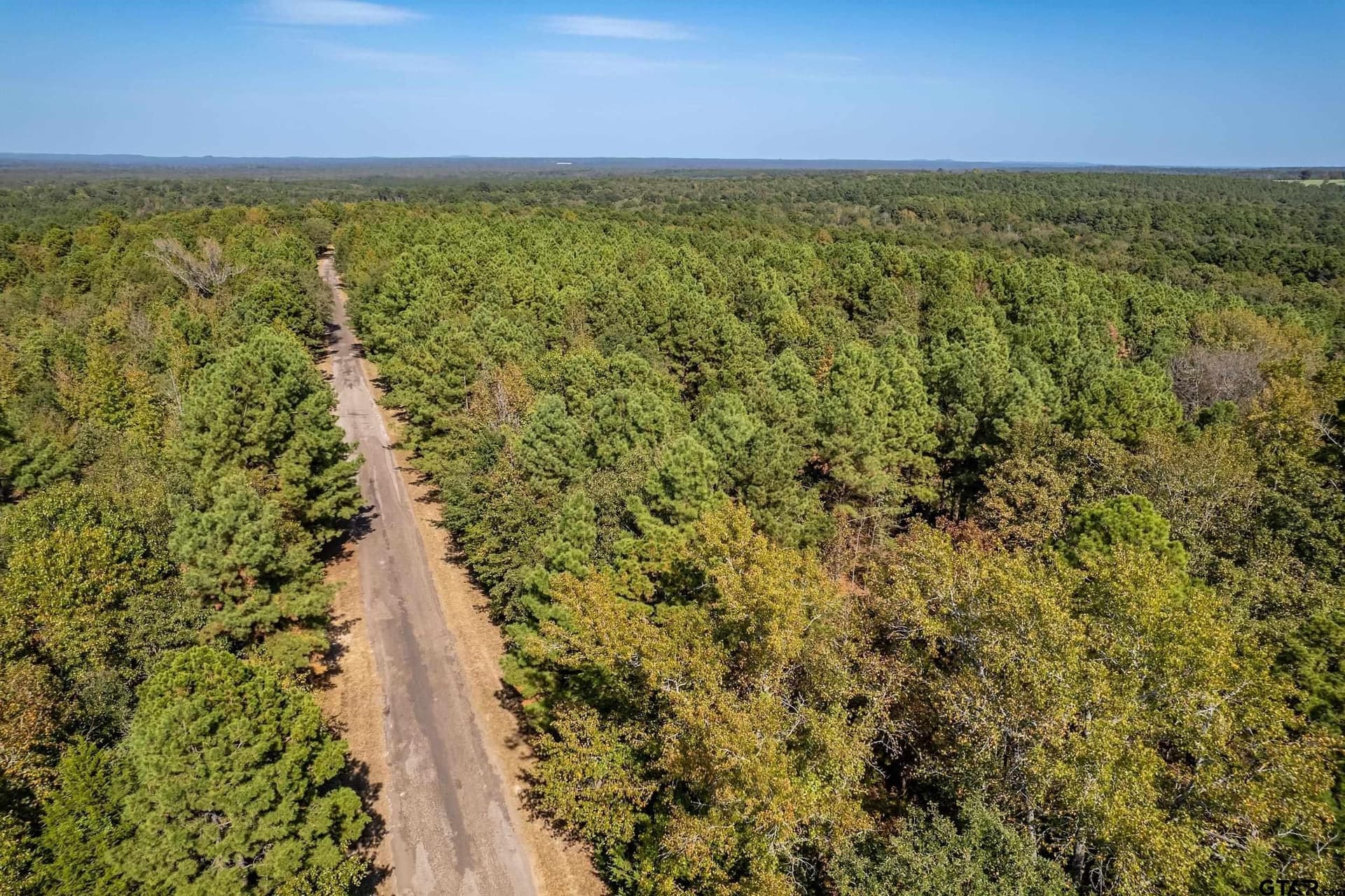 29 acres in Smith County gallery image 4