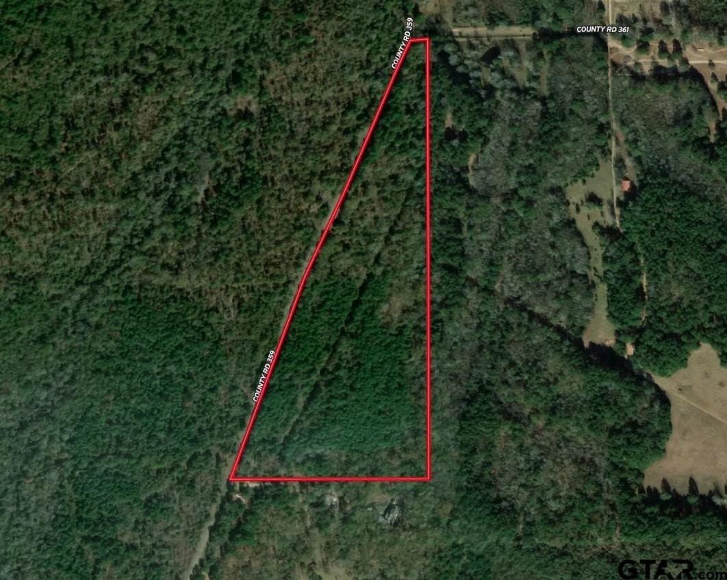 29 acres in Smith County gallery image 3