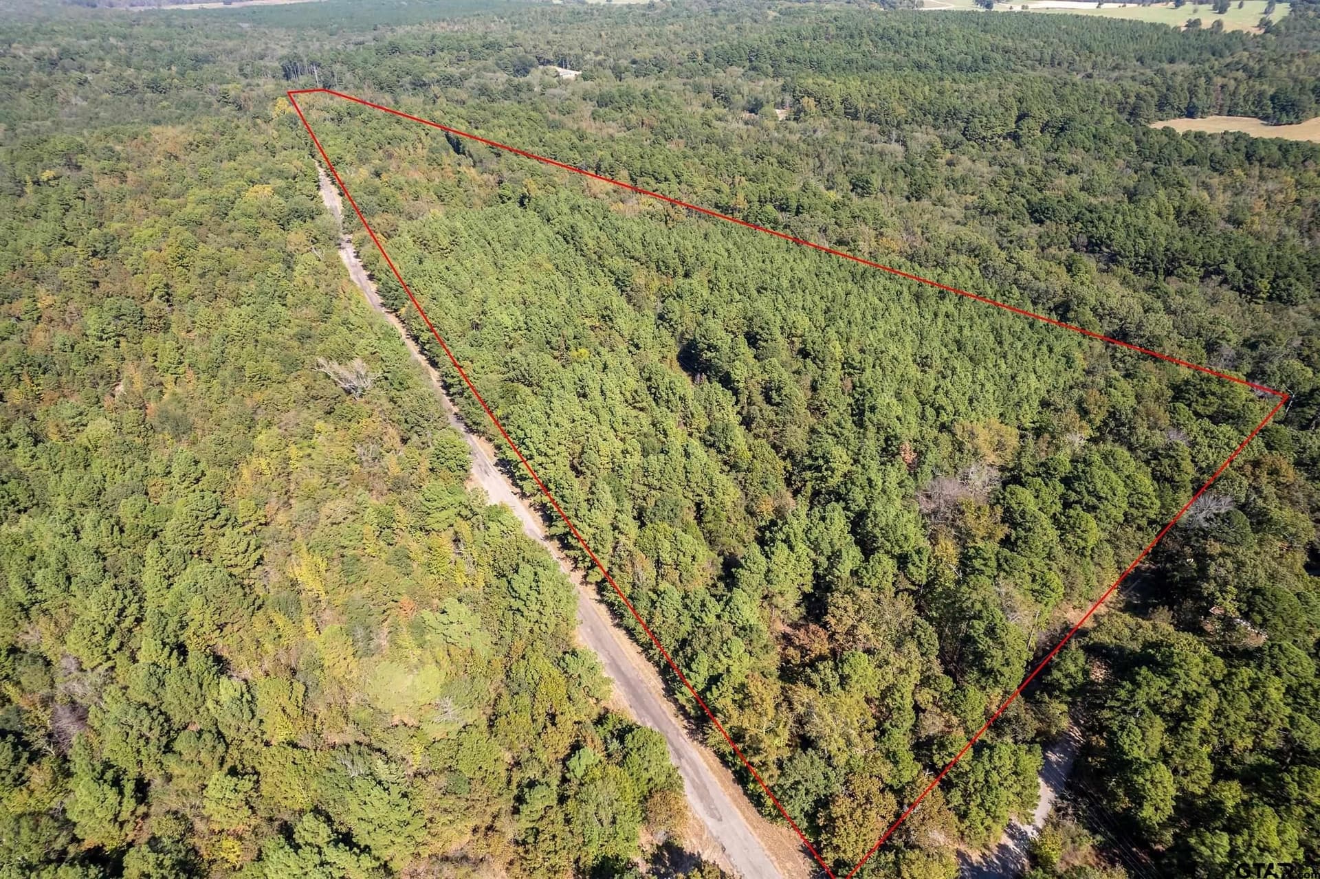 29 acres in Smith County gallery image 2