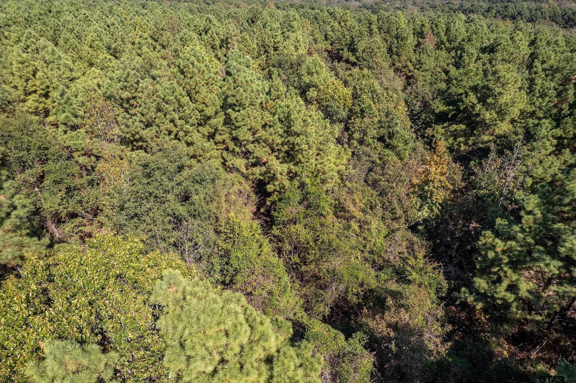 29 acres in Smith County featured view