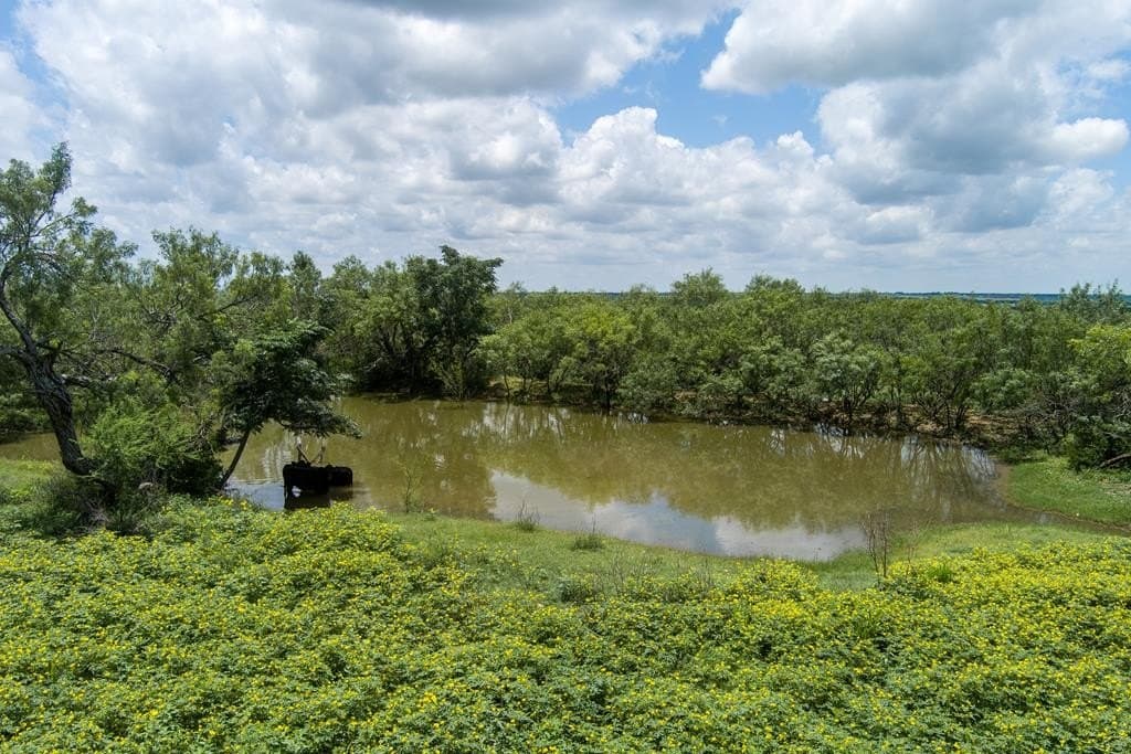 12 acres in Bexar County - photo 48