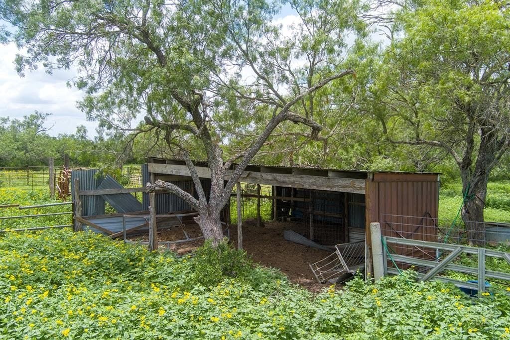 12 acres in Bexar County - photo 49