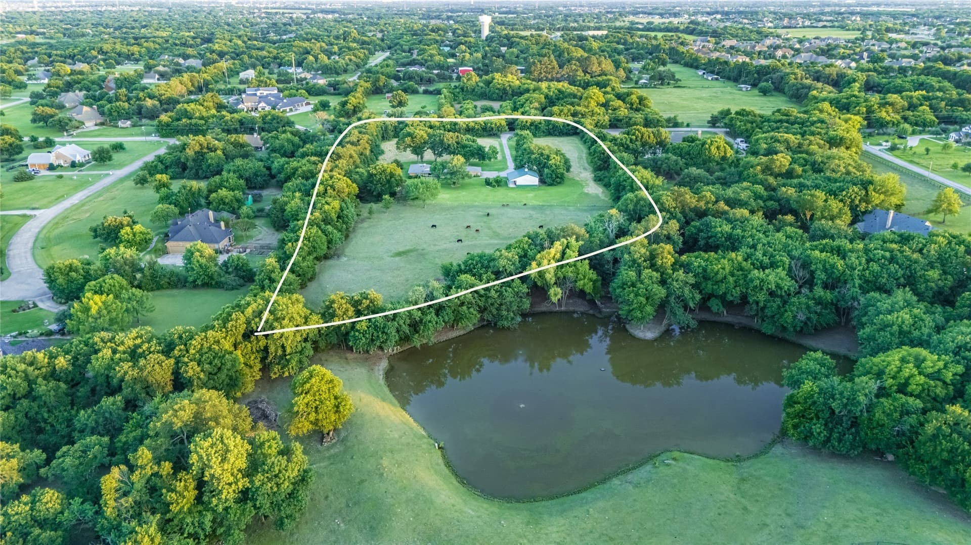 6.91 acres in Collin County gallery image 2