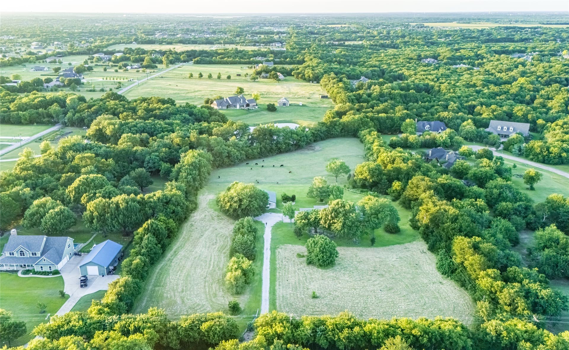 6.91 acres in Collin County gallery image 4