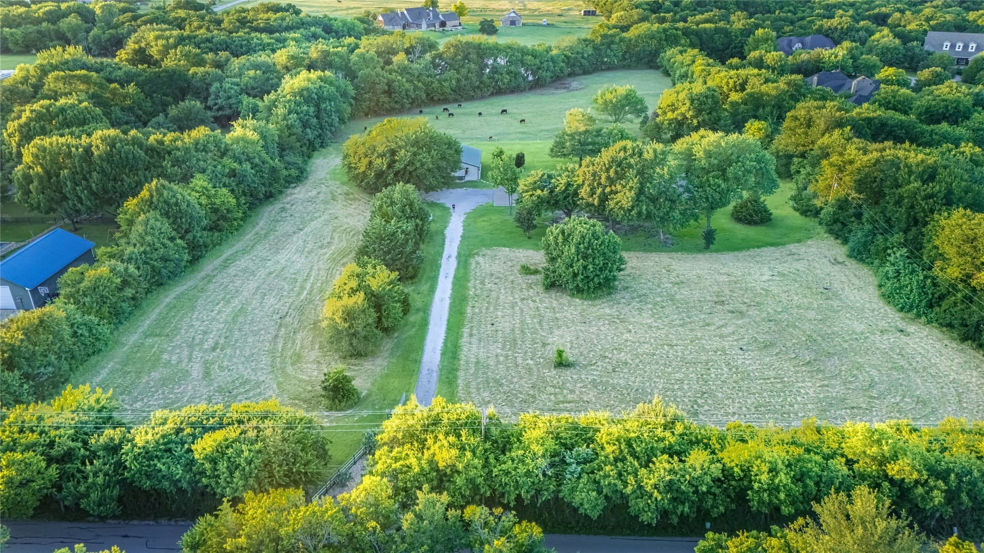 6.91 acres in Collin County gallery image 3