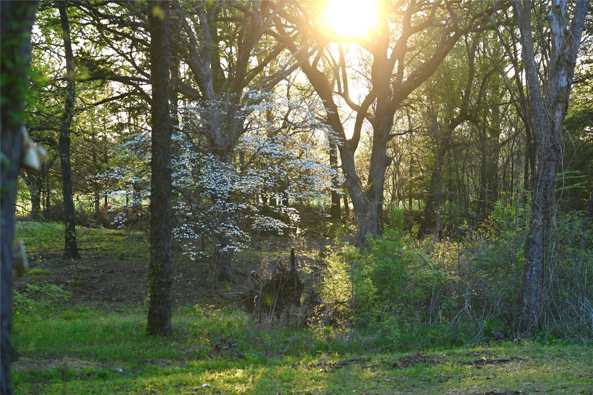 23.19 acres in Fannin County