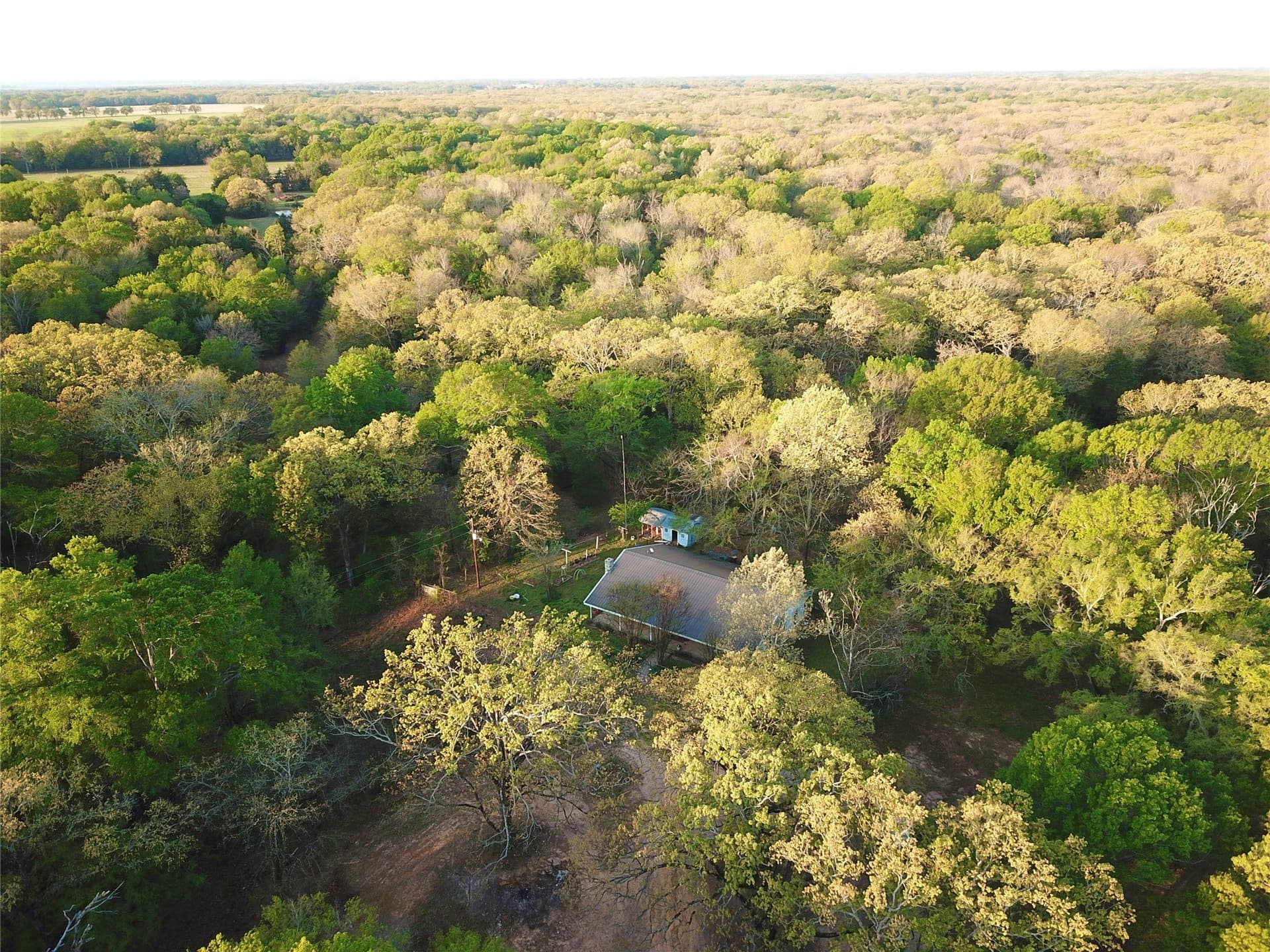23.19 acres in Fannin County - photo 7