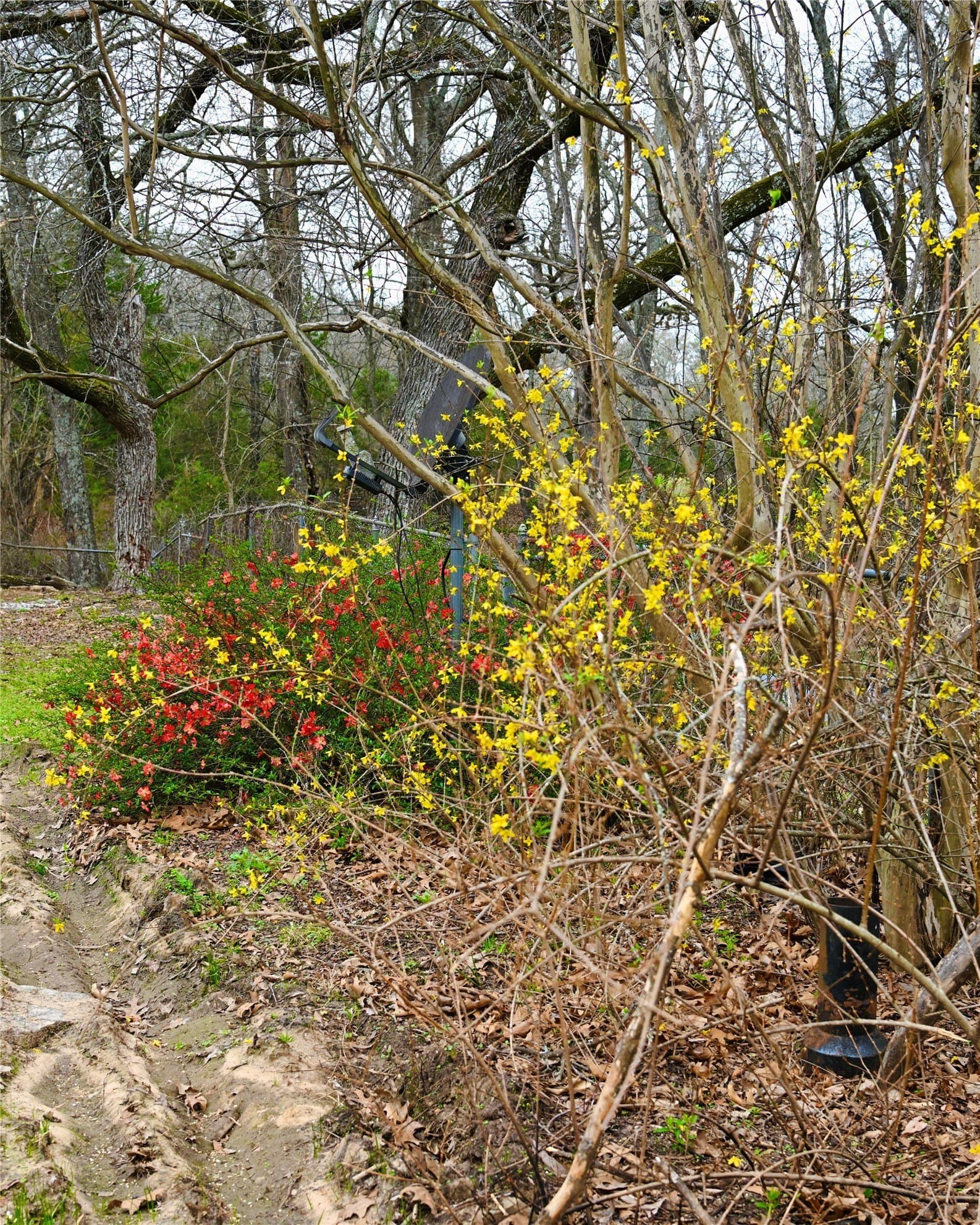 23.19 acres in Fannin County - photo 5