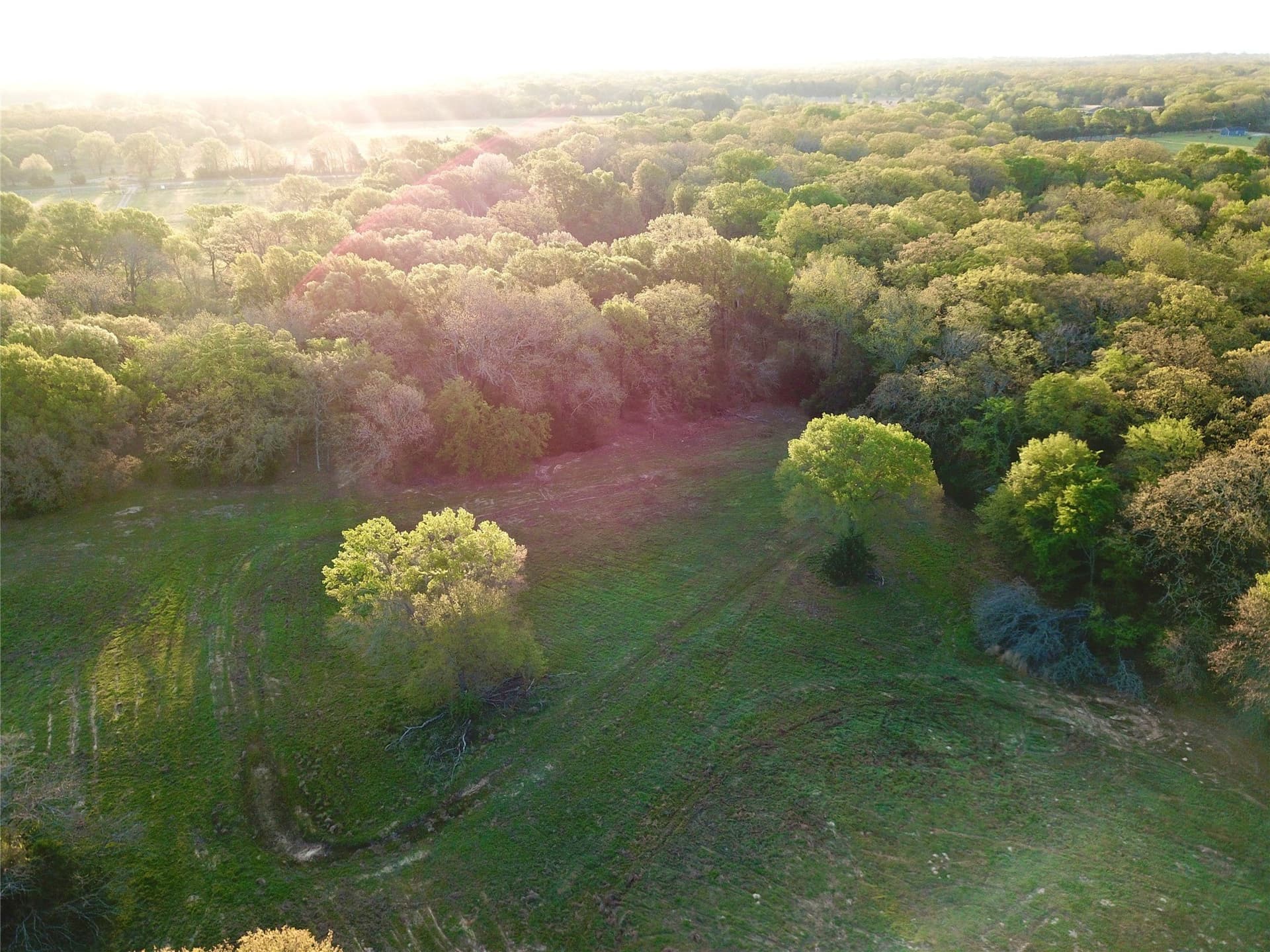 23.19 acres in Fannin County - photo 6