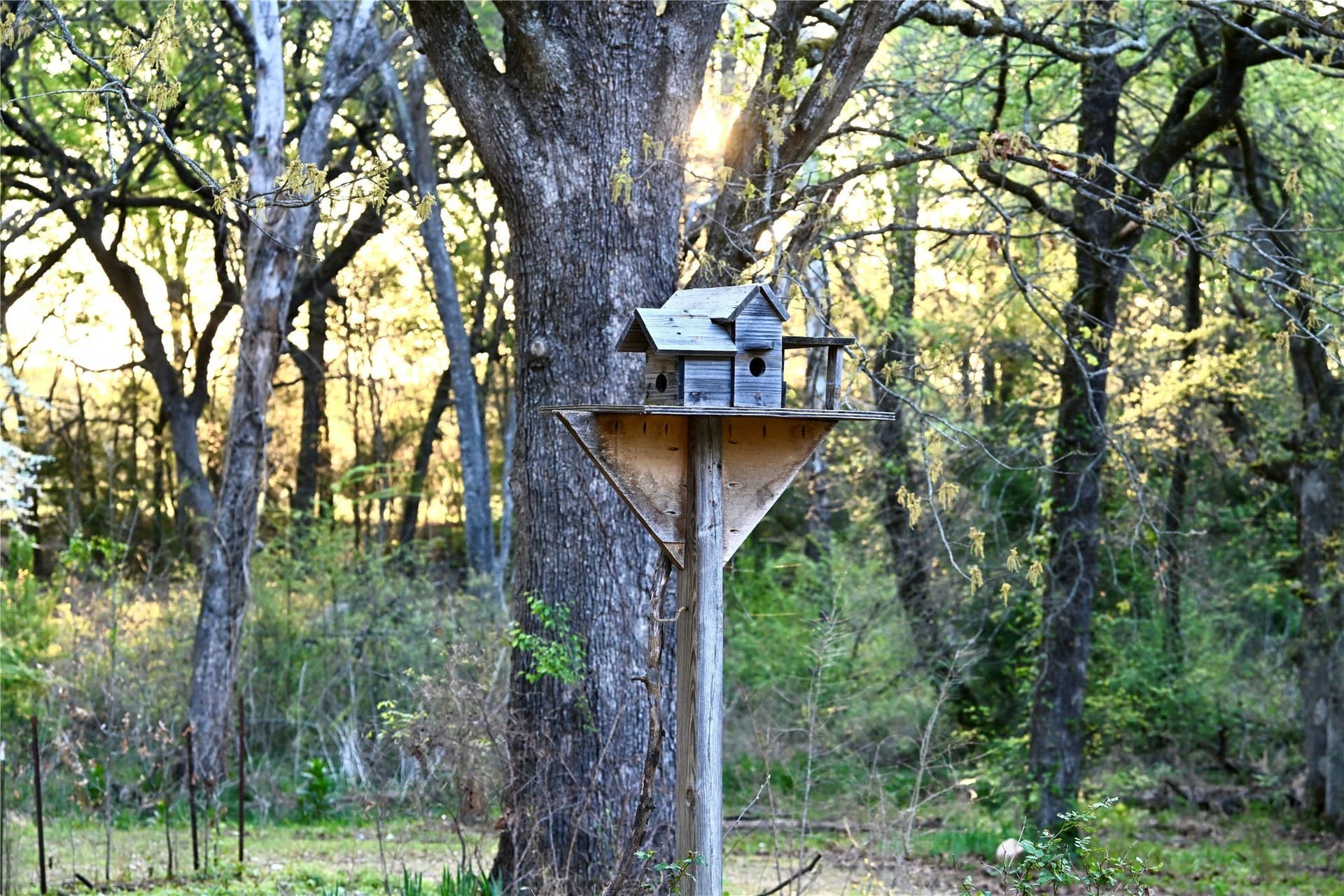 23.19 acres in Fannin County - photo 9