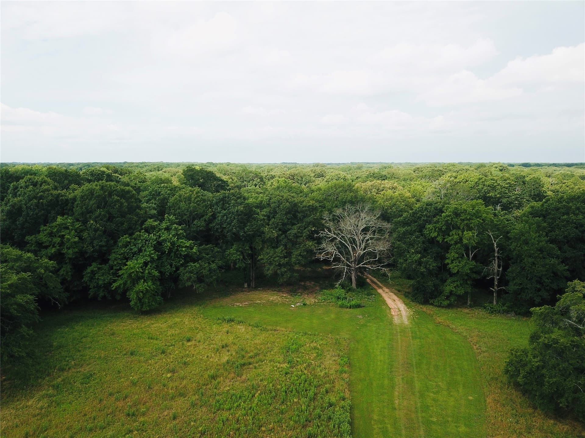 23.19 acres in Fannin County - photo 12