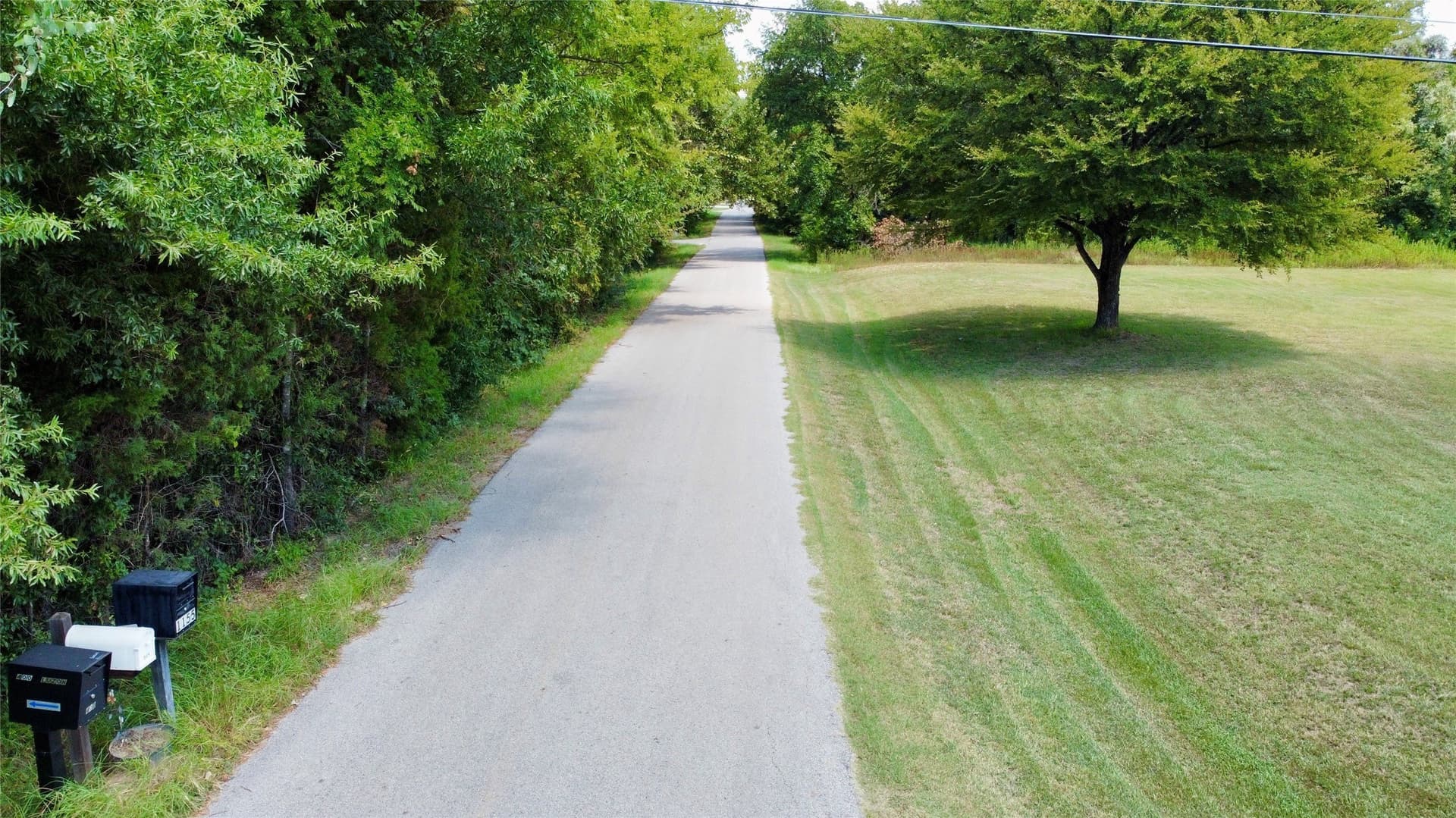 0.2 acres in Henderson County gallery image 2
