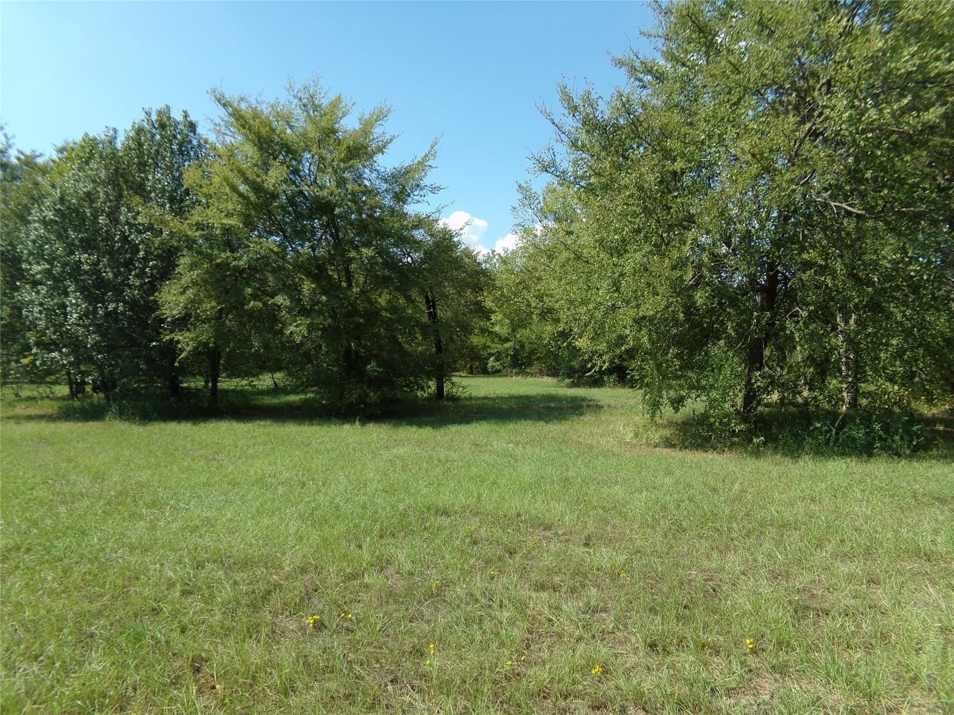 10.2 acres in Lamar County gallery image 3