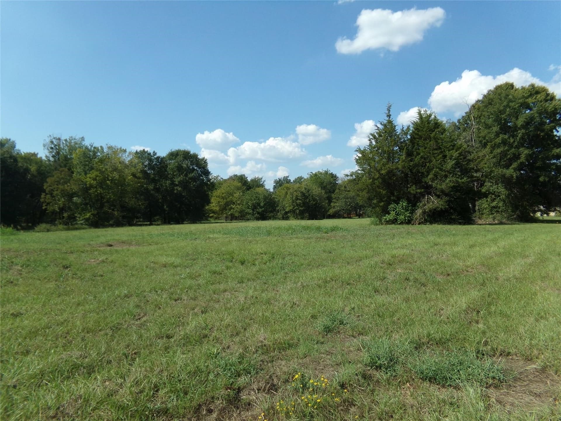 10.2 acres in Lamar County gallery image 2