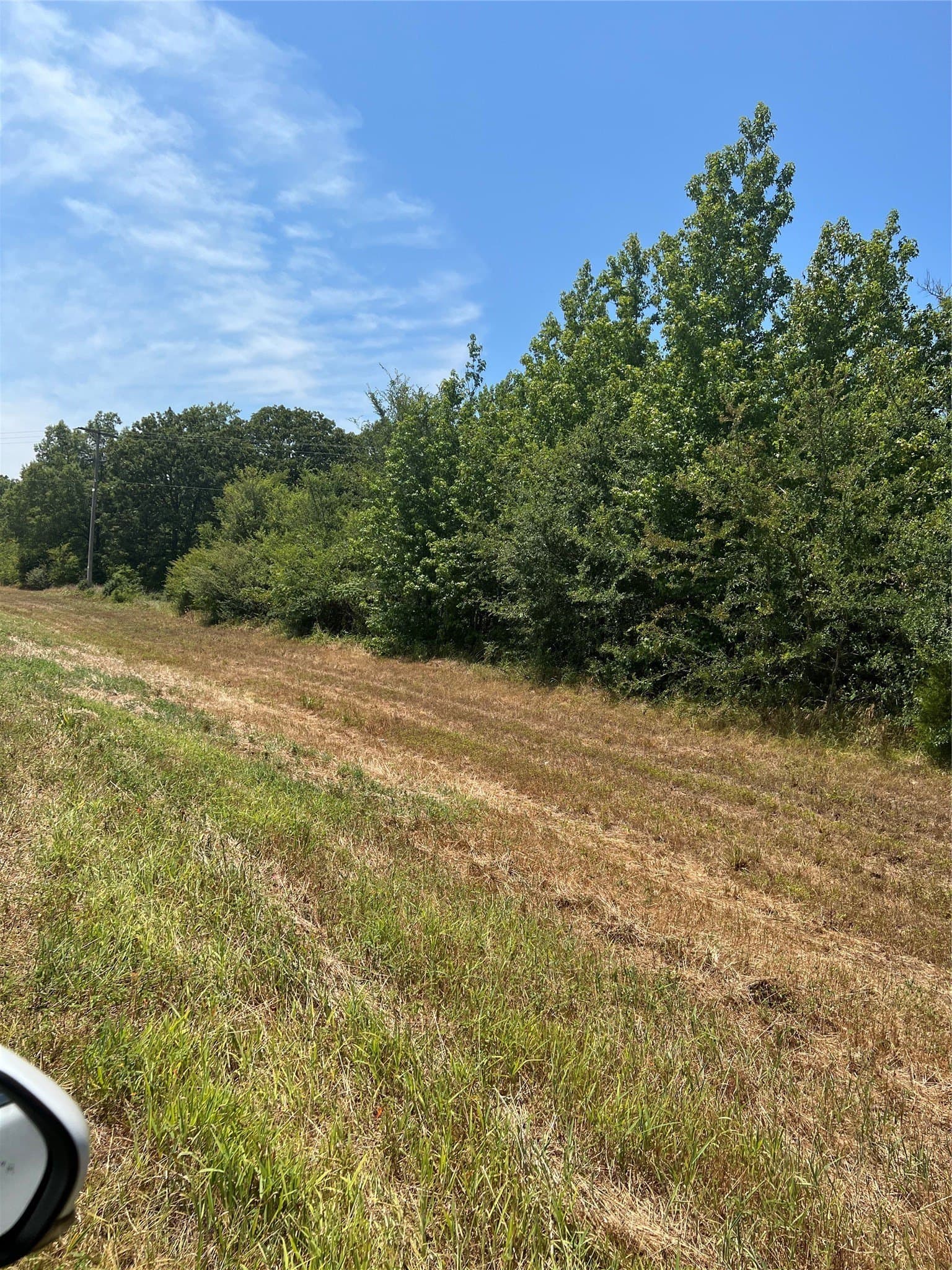 15 acres in Camp County gallery image 2