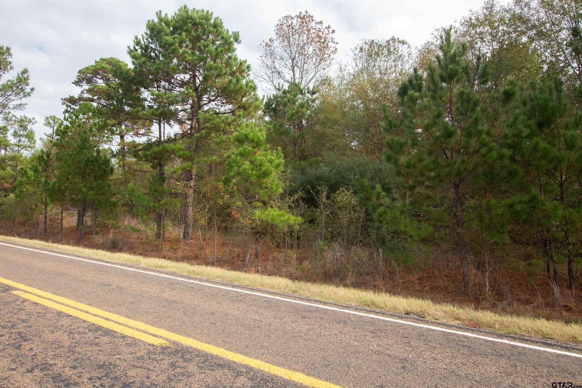 11.92 acres in Rusk County gallery image 4