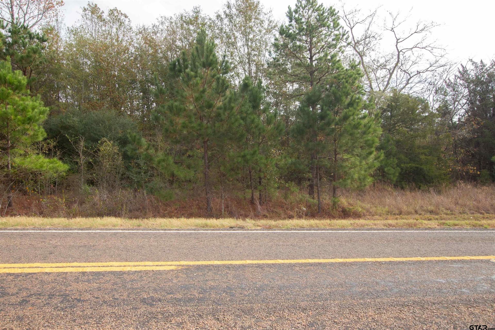 11.92 acres in Rusk County gallery image 3