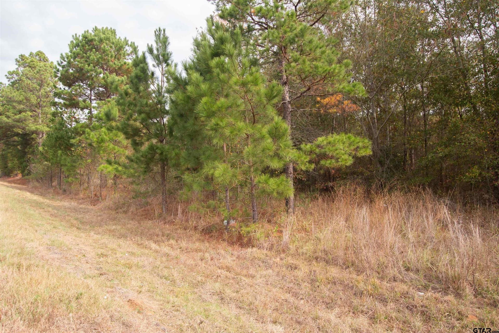 11.92 acres in Rusk County