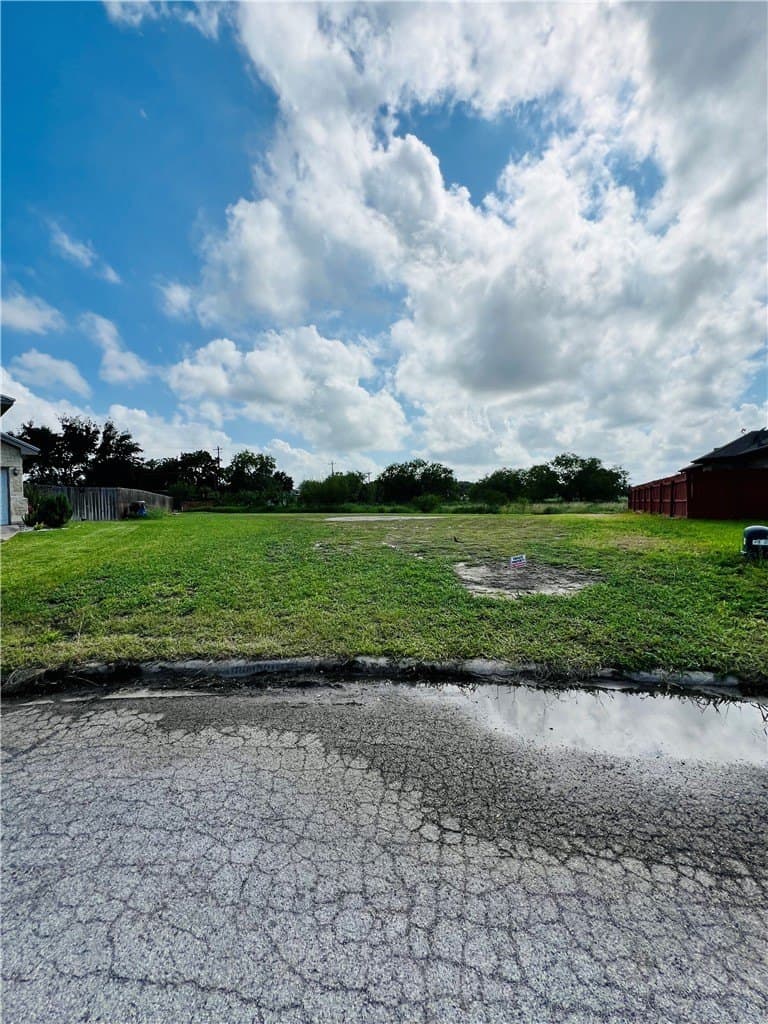 0.24 acres in Jim Wells County gallery image 2