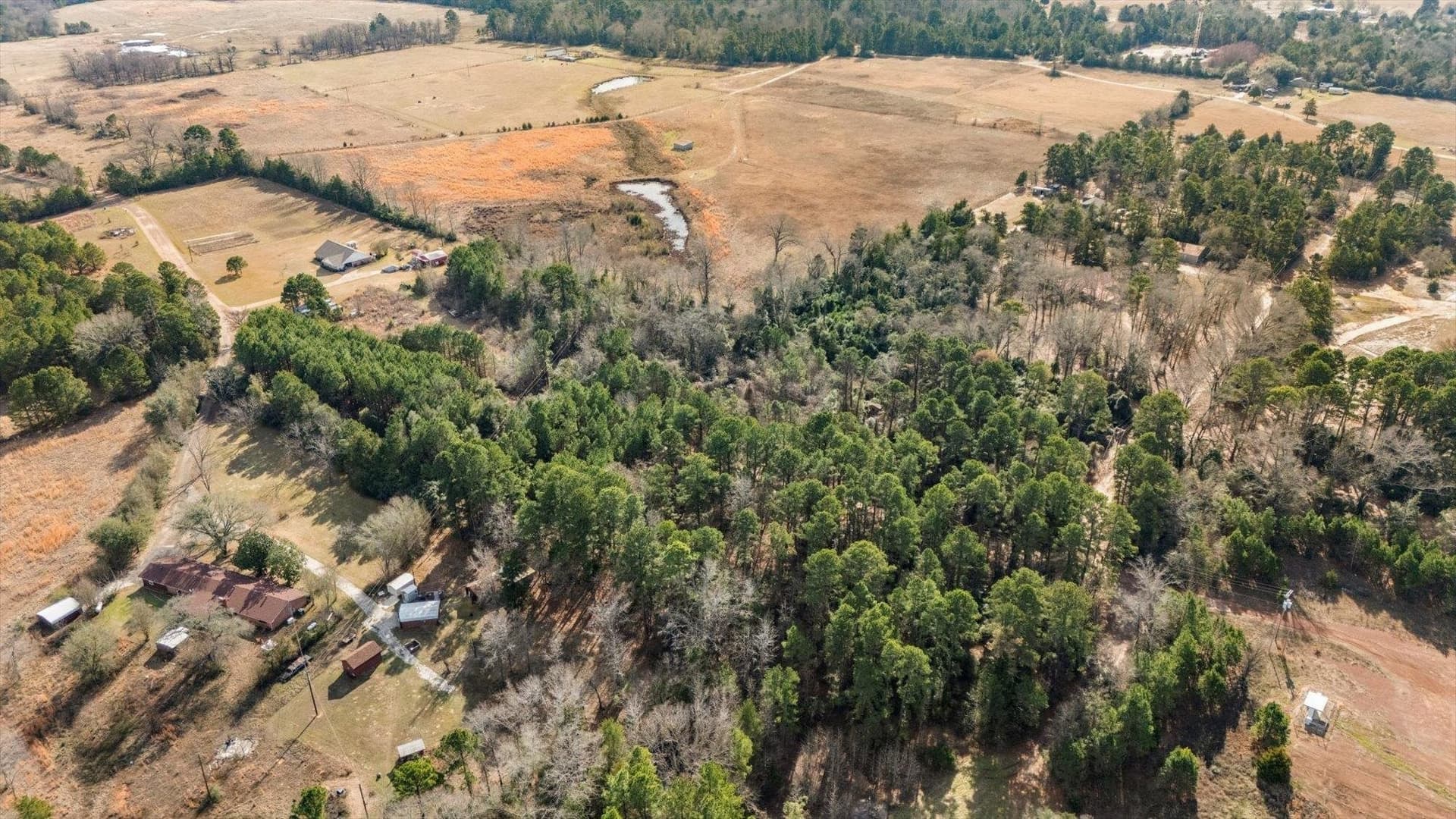 2.6 acres in Wood County - photo 8