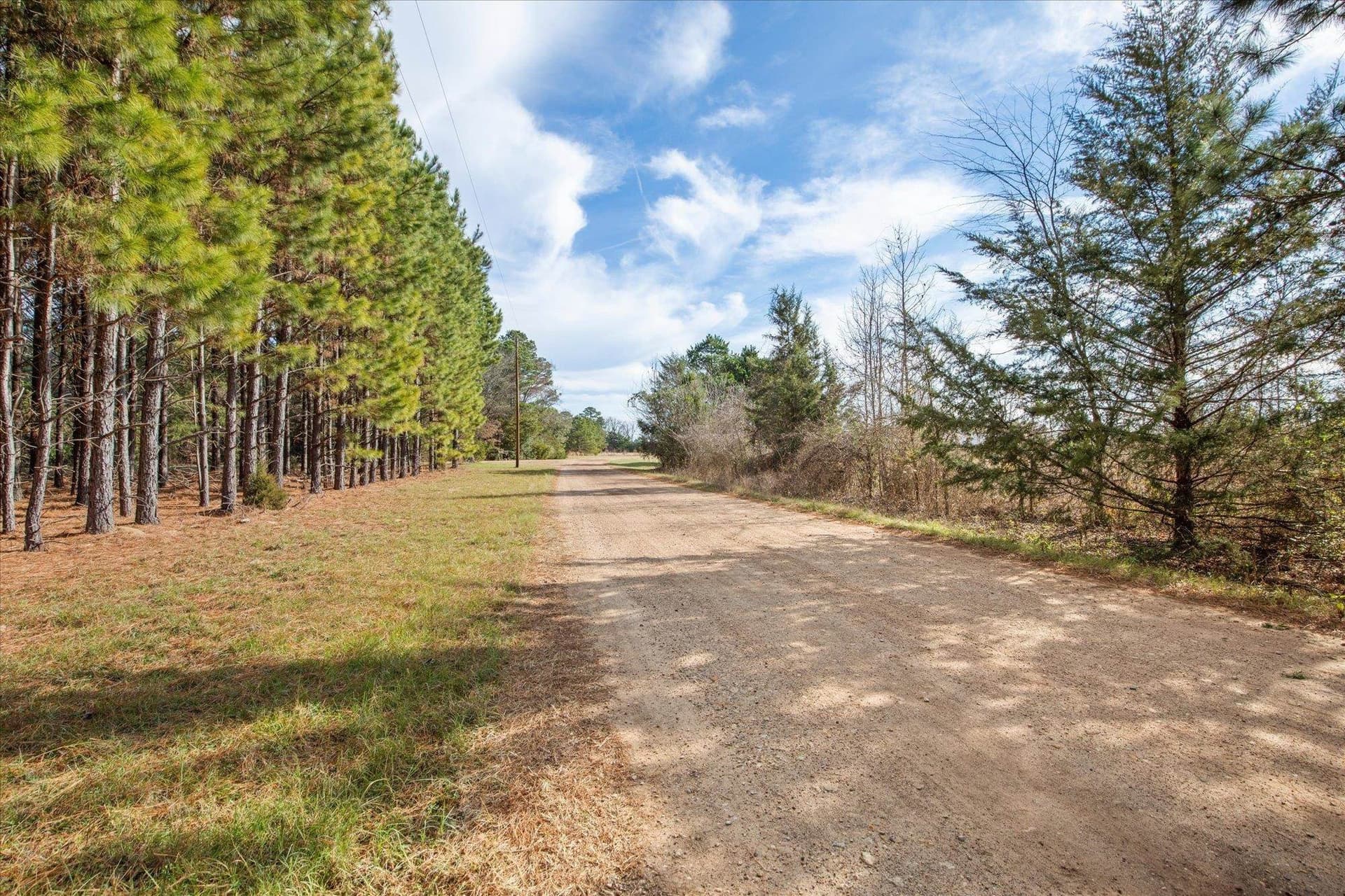 2.6 acres in Wood County - photo 10