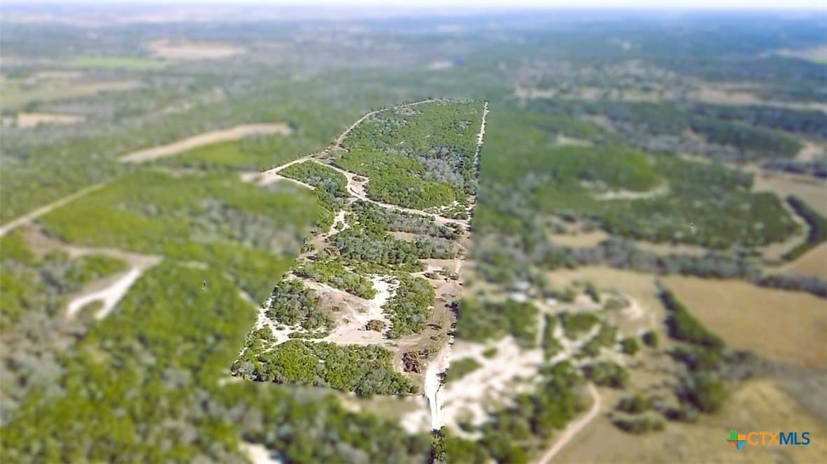 79.79 acres in Coryell County gallery image 2
