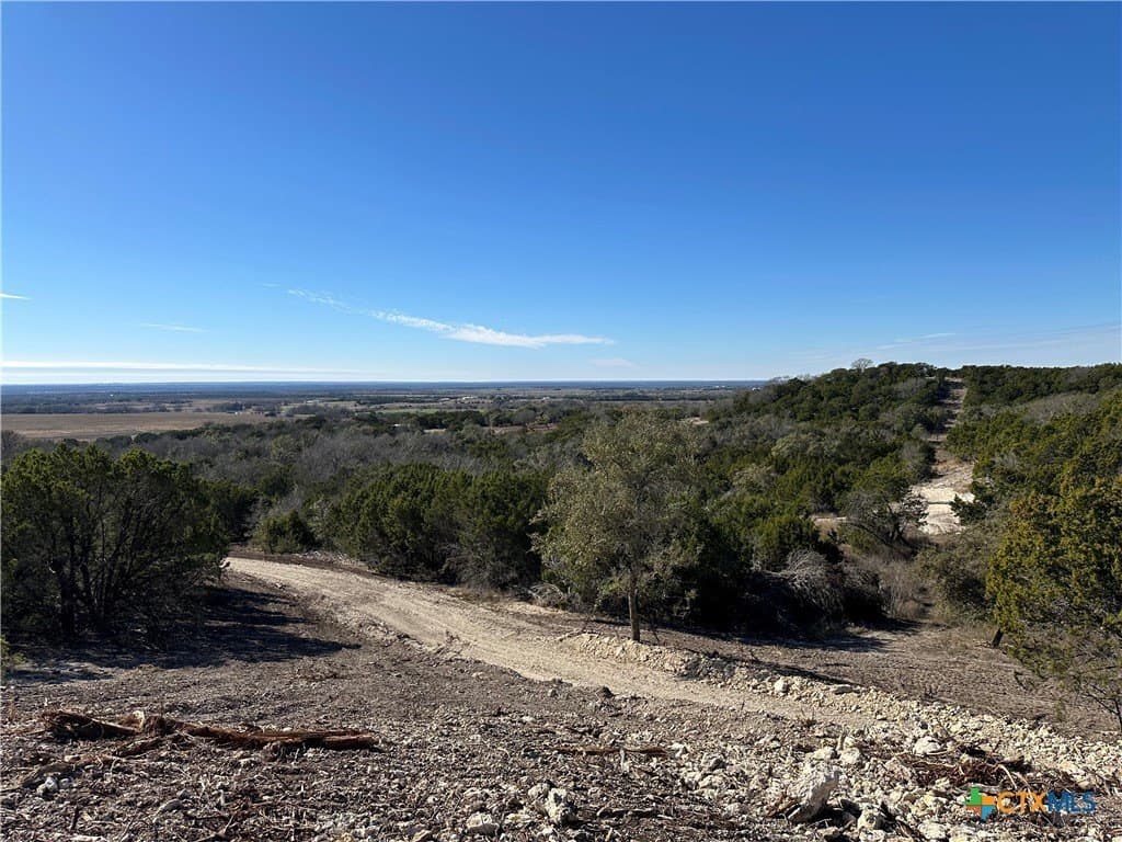 79.79 acres in Coryell County gallery image 3