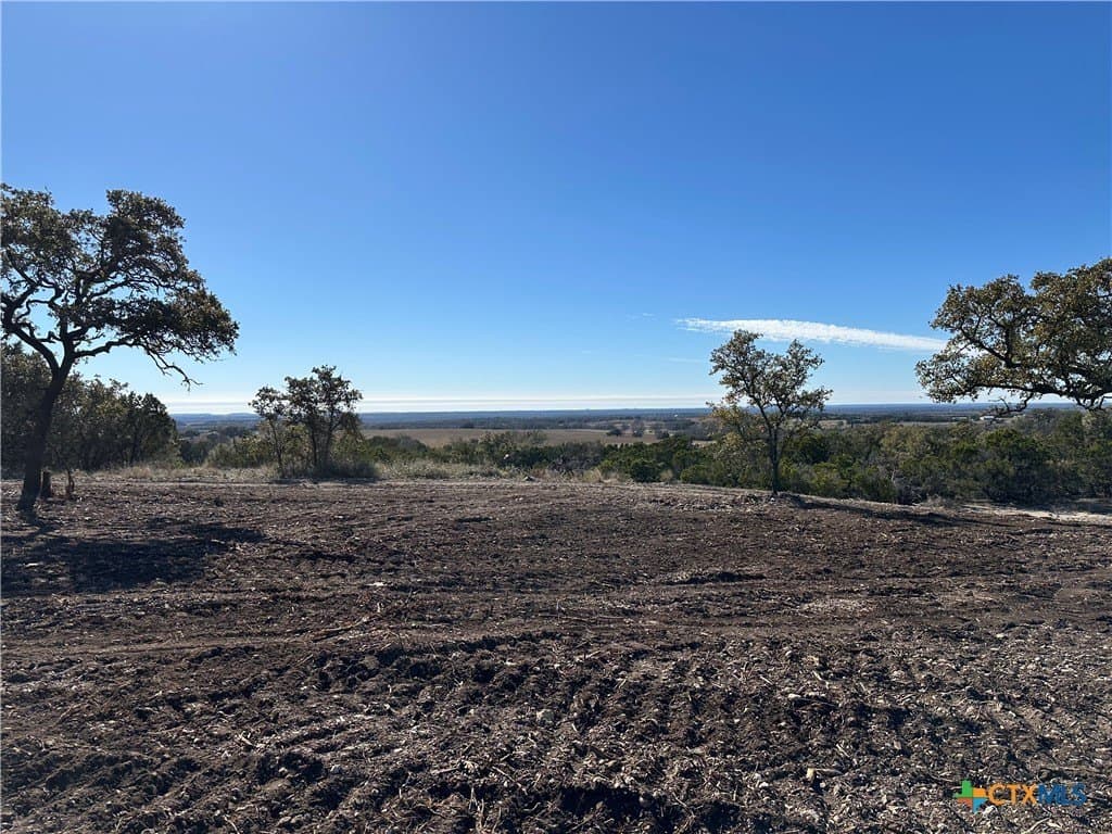 79.79 acres in Coryell County gallery image 4