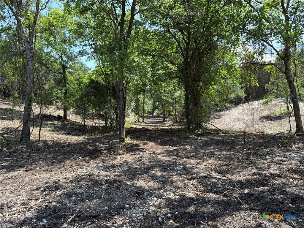 79.79 acres in Coryell County - photo 18