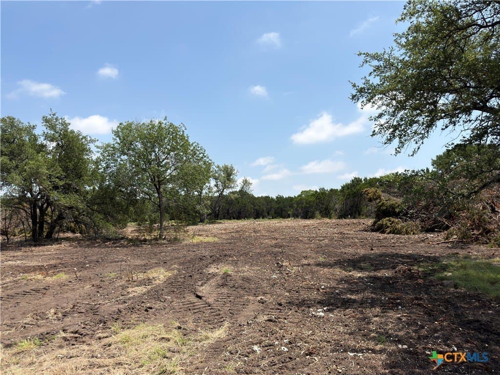 79.79 acres in Coryell County - photo 17