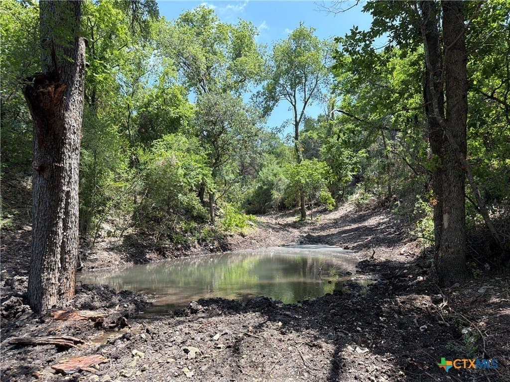 79.79 acres in Coryell County - photo 5