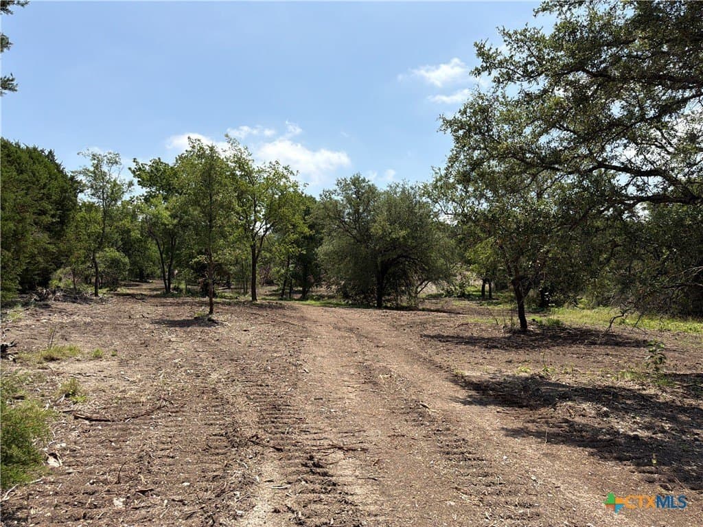 79.79 acres in Coryell County - photo 8