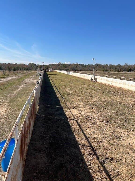 41.26 acres in Fort Bend County gallery image 4