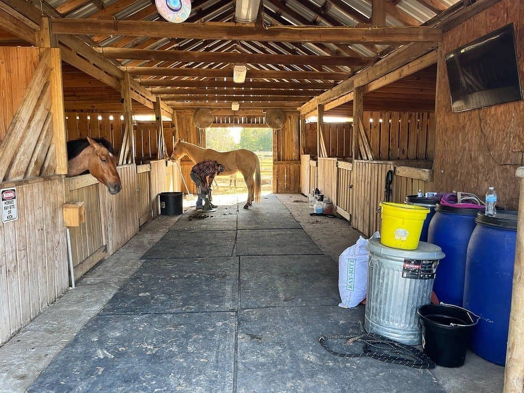 41.26 acres in Fort Bend County gallery image 2