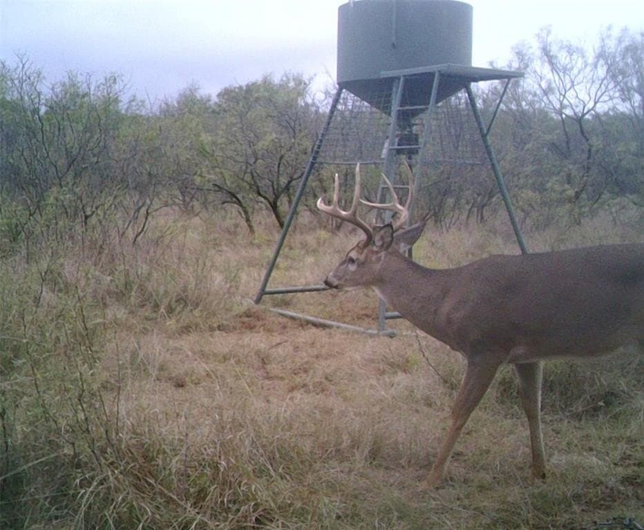 31.8 acres in Clay County featured view
