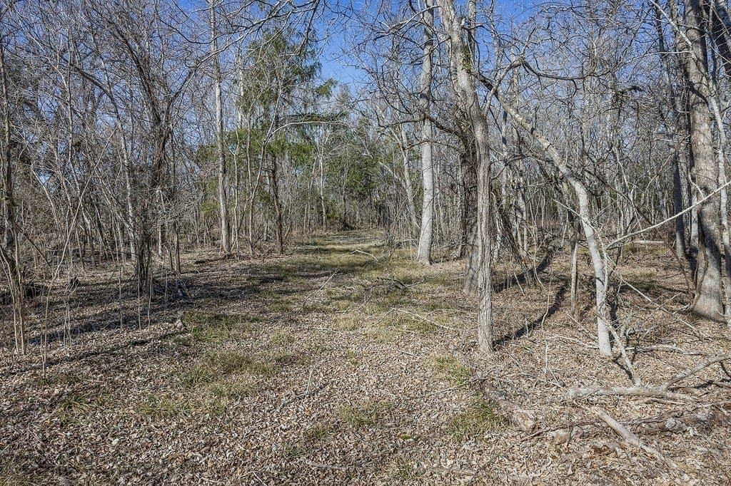 107.11 acres in Fayette County - photo 23